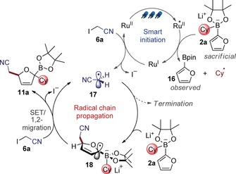 Scheme 4