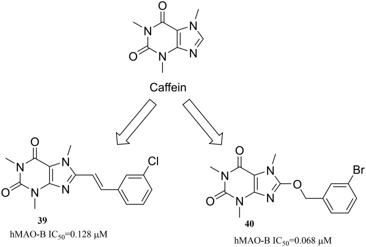 Fig. 12