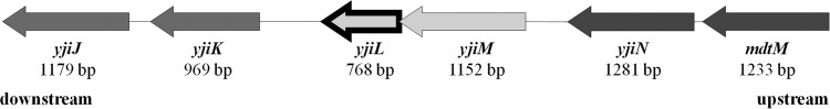 FIG 2