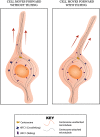 Figure 9.