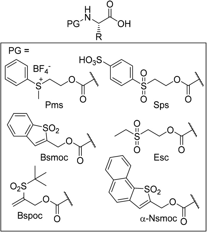 Fig. 5