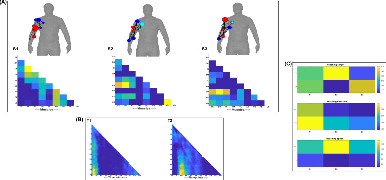 Figure 11—figure supplement 1.