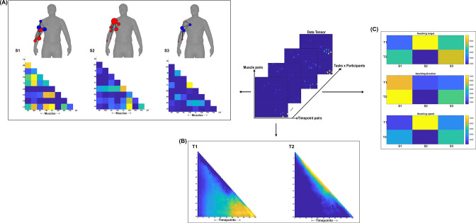 Figure 7—figure supplement 1.