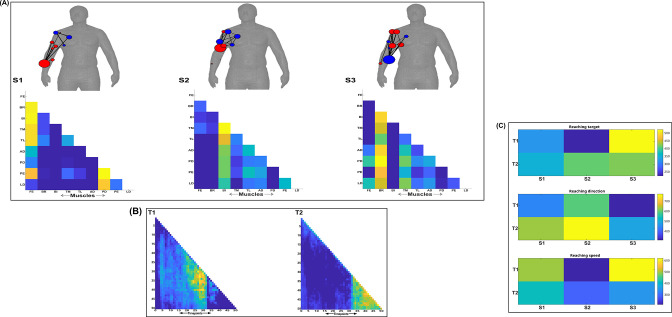 Figure 9—figure supplement 1.