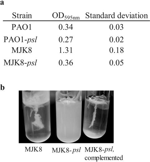 FIG. 7.