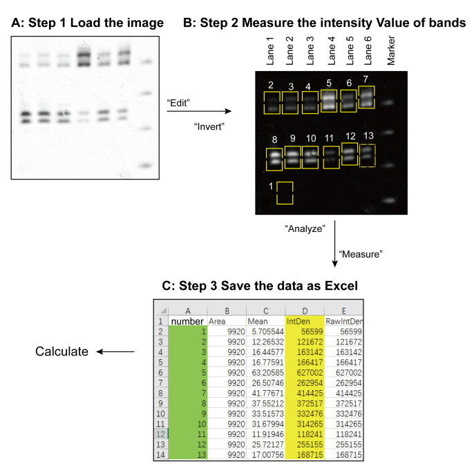 Figure 2.