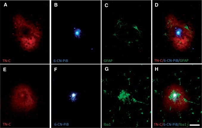 FIGURE 3