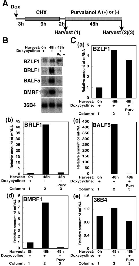 FIG. 7.