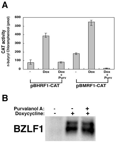 FIG. 8.