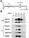 FIG. 6.