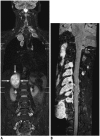 Fig. 10