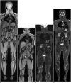Fig. 9
