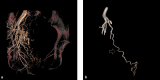 Fig. 9