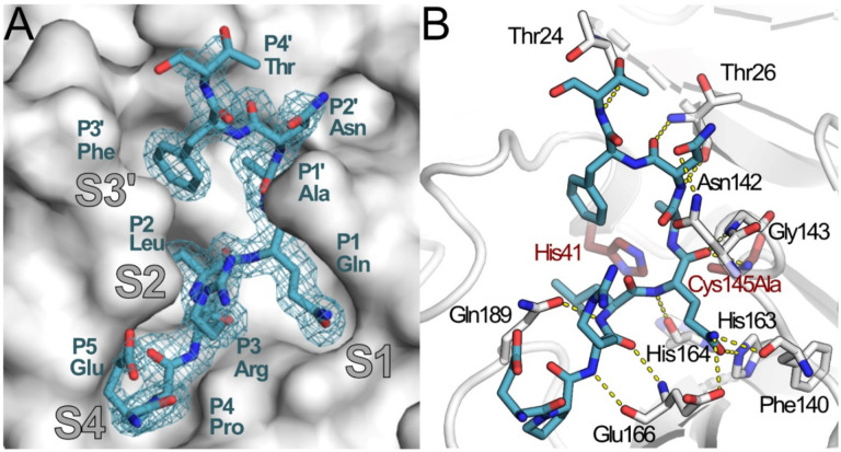 Figure 2.