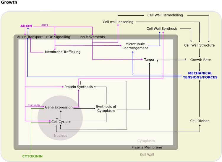 Figure 2.