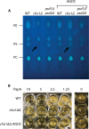 FIG 8