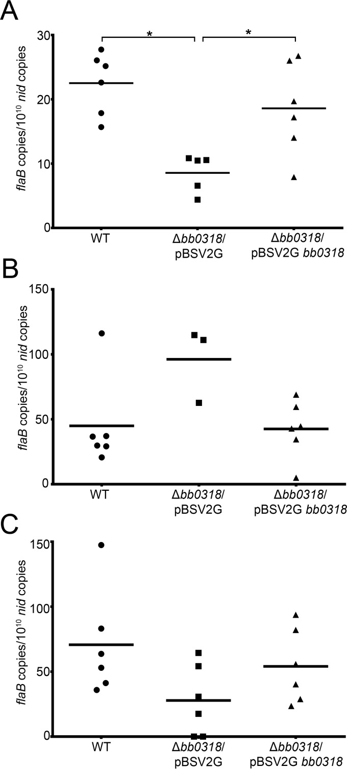 FIG 4