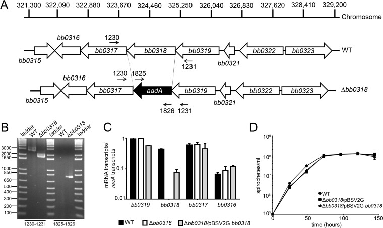 FIG 1