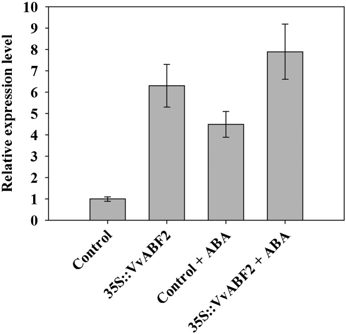 Figure 5.