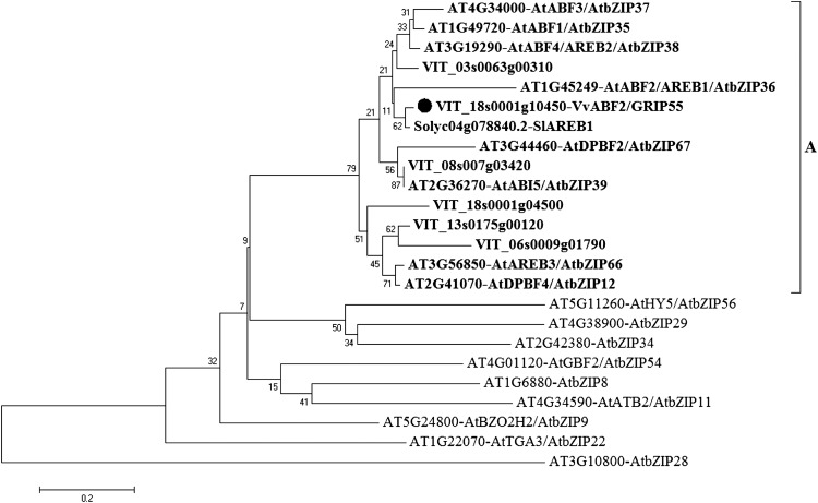 Figure 2.