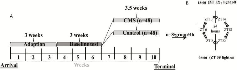 Figure 2.