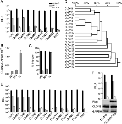 FIG. 2.