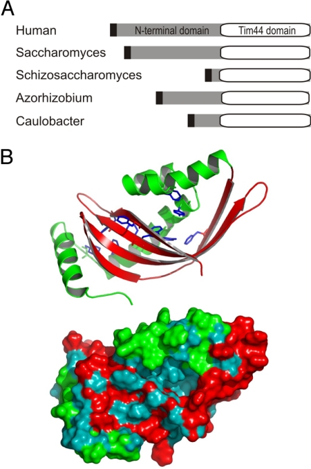 Fig. 1.