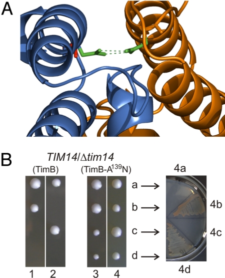 Fig. 4.