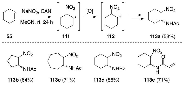 Scheme 22