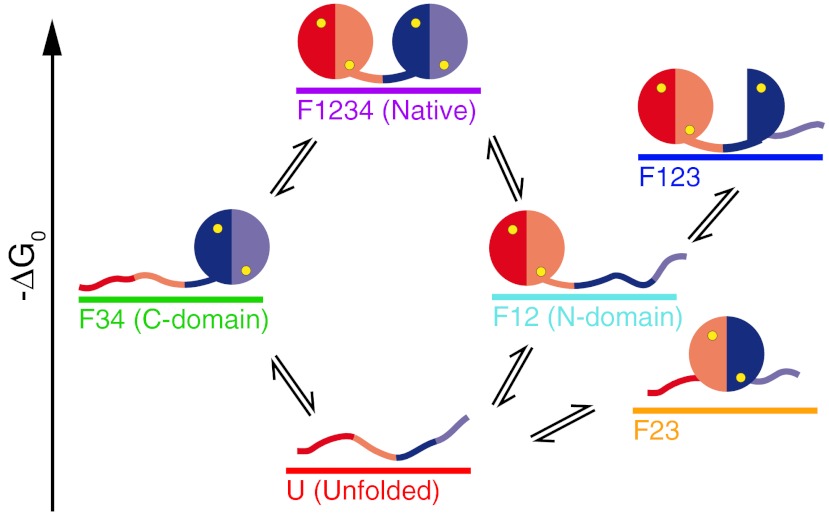 Fig. 1.