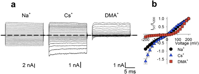 Fig. S1.