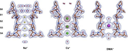 Fig. 2.