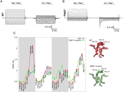 Fig. 7.