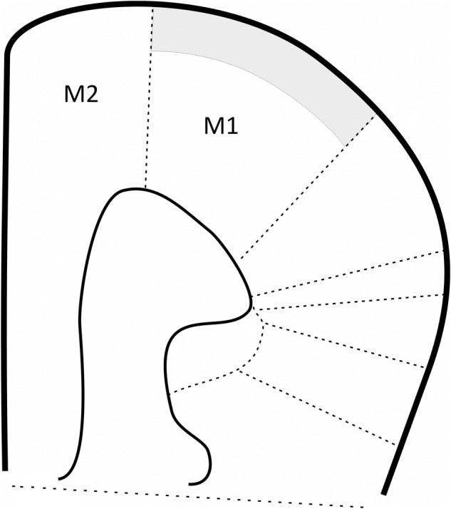 FIGURE 1