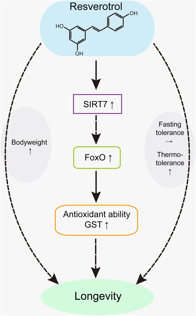 Fig. 7