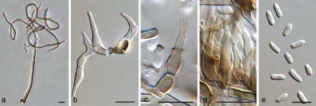 Fig. 28