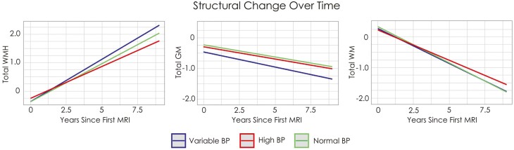 Alt Text: Those with variable BP exhibited high WMH burden and lower GM volume than both normal and high BP, who did not differ. WM slopes do not differ between the groups.