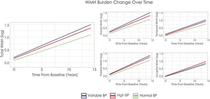 Alt Text: Those with variable BP had increased WMH burden compared to normal BP at all regions and compared to high BP at frontal regions and in total WMH burden. Normal BP also had lower WMH burden compared to high BP at all regions.