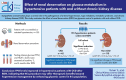 Graphical Abstract