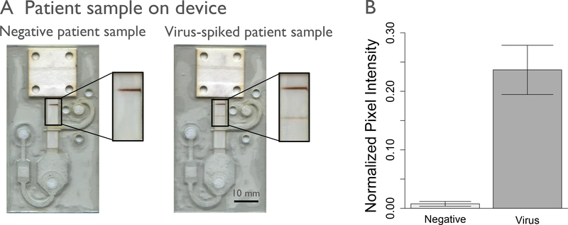 Figure 7.