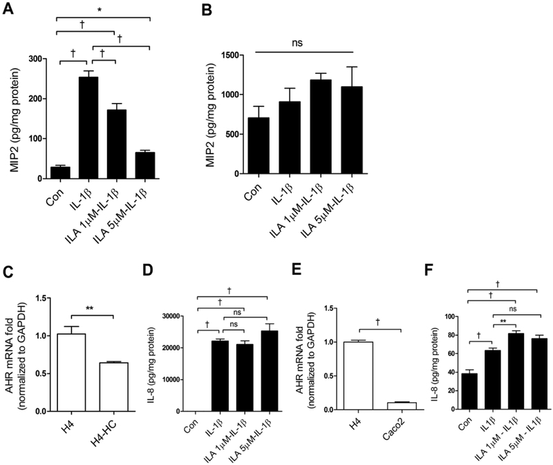 Fig 6.