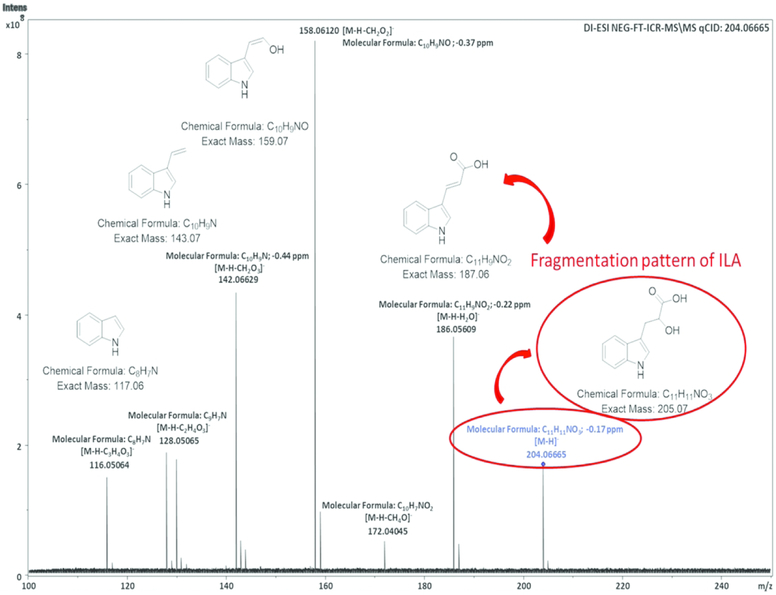 Fig3.