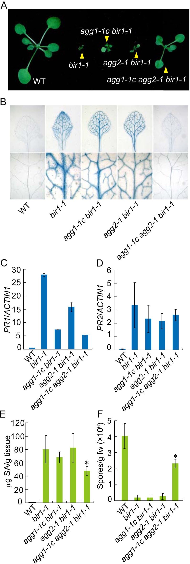 Figure 4.