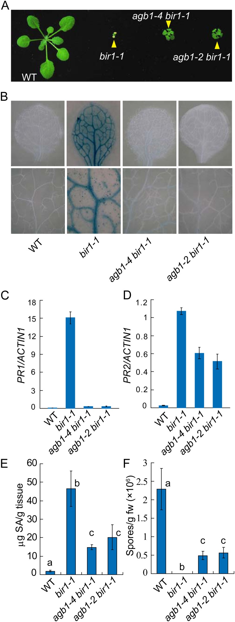 Figure 2.