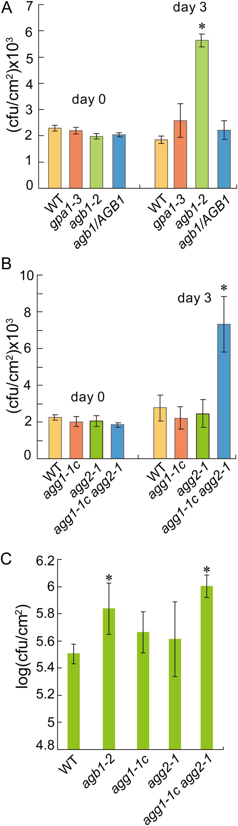 Figure 6.