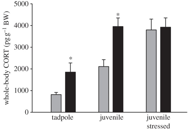 Figure 2.