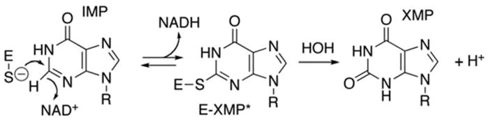 Fig. 62.1