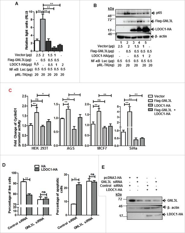 Figure 10.