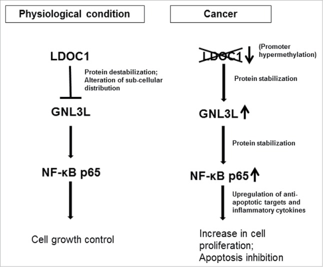 Figure 12.