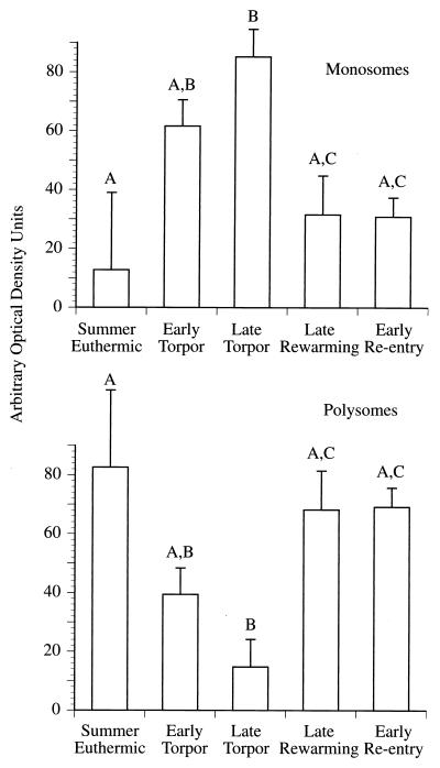 FIG. 5